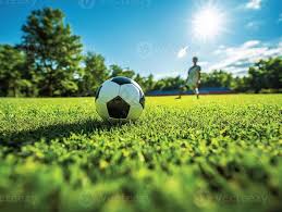 竞彩足球胜平负概率应用下载